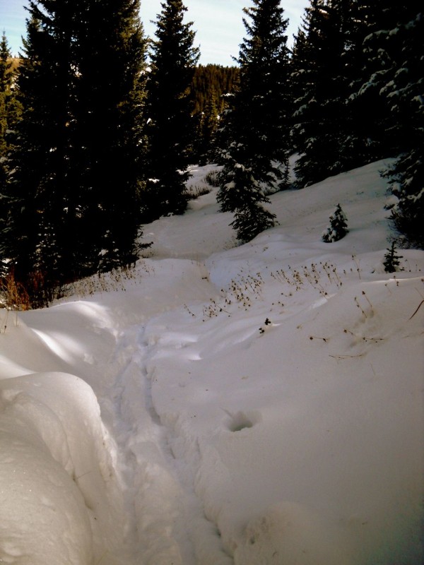 nordic bobsled