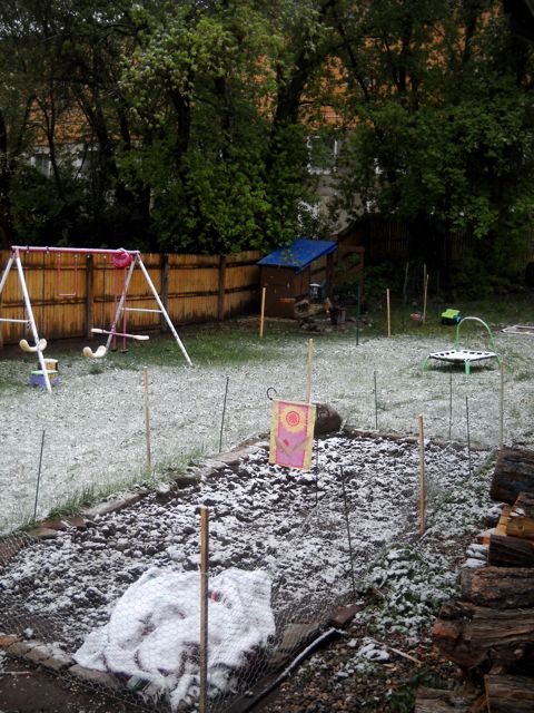 snowy garden