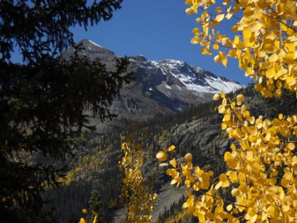 aspen mts