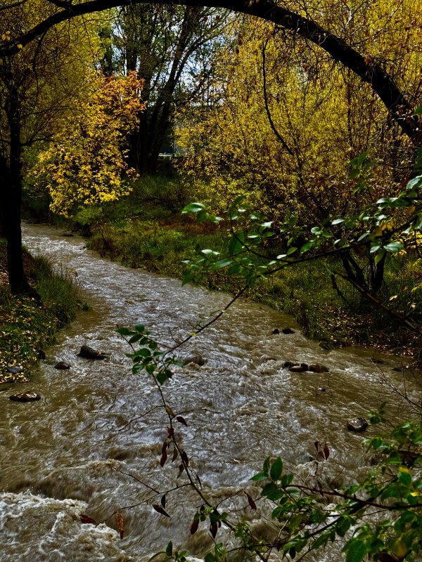 IMG_6876